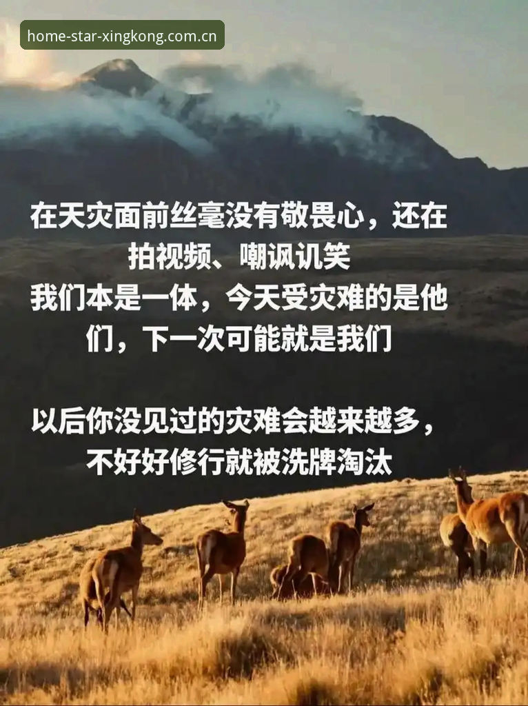 星空体育平台CN版本 星空体育官网CN版本究竟改了什么?一份原理解读